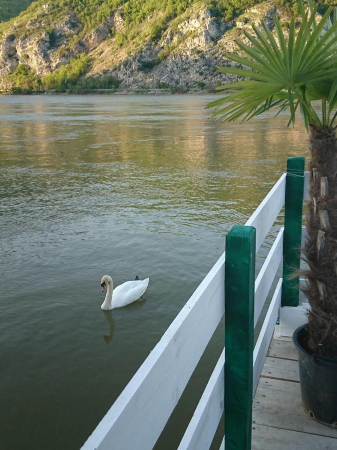 Apartman Barka Golubac Extérieur photo