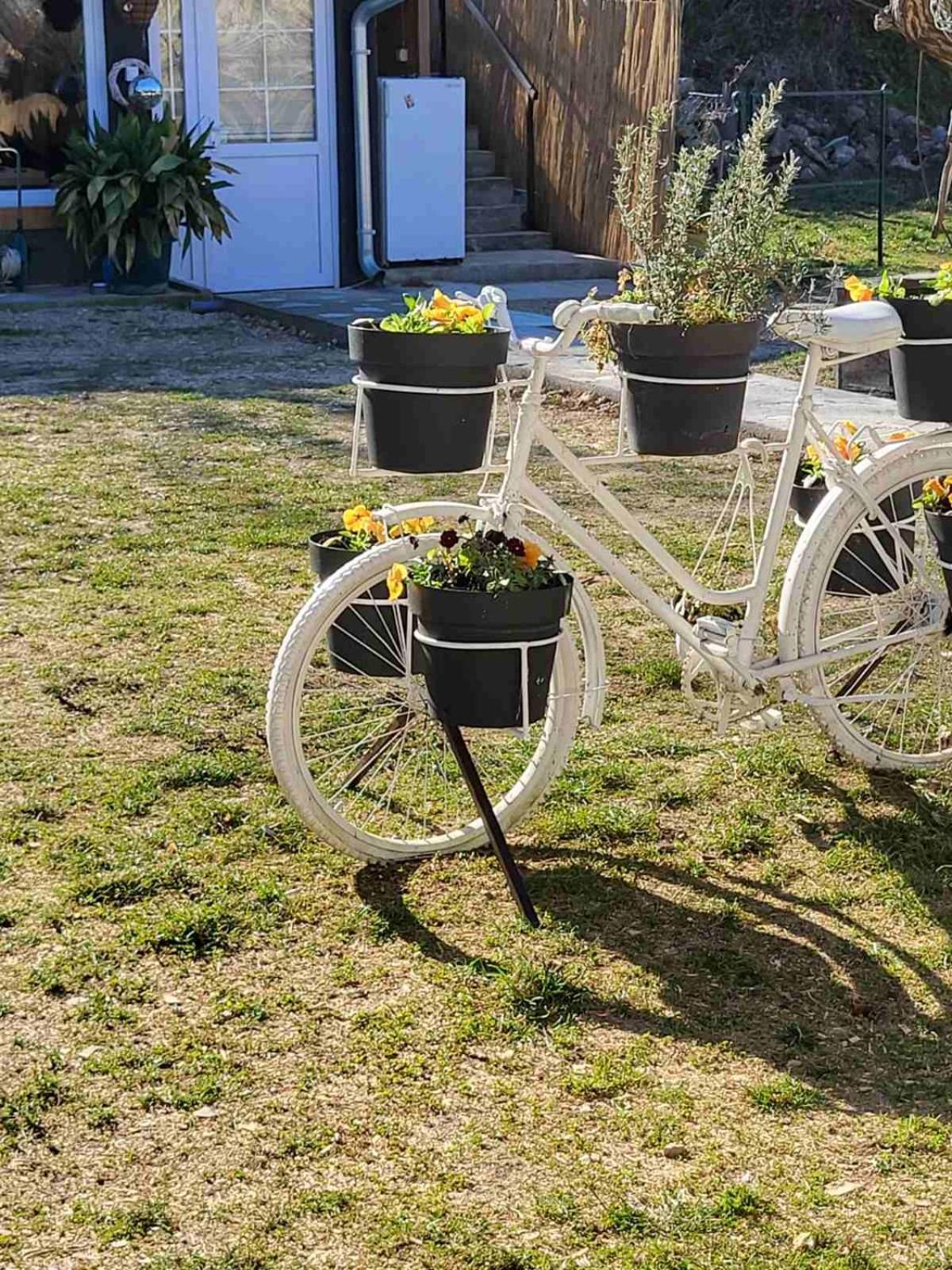 Apartman Barka Golubac Extérieur photo